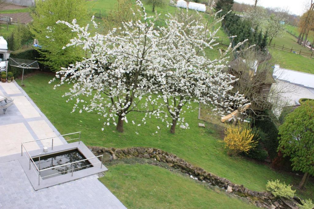 Hotel Gasthof Kapelhof Erpe-Mere Esterno foto